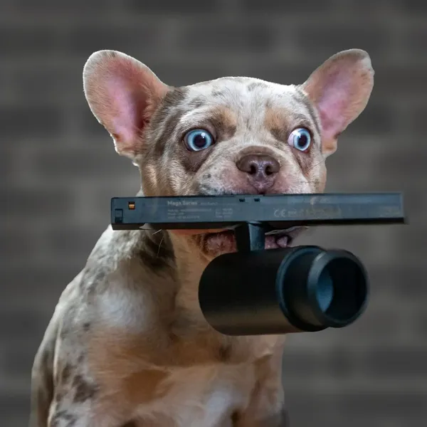 Buddy – Assistent für gute Laune